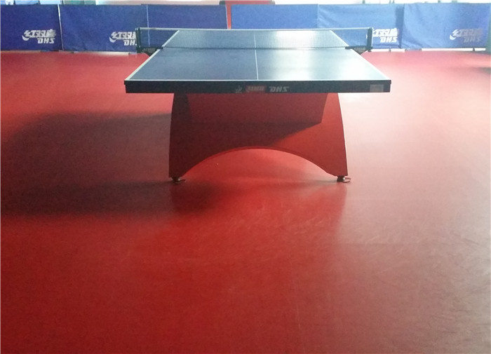 大东体育馆运动塑胶地板 (2)